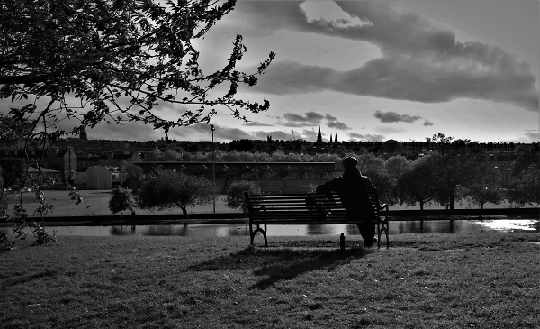 Bench with a View