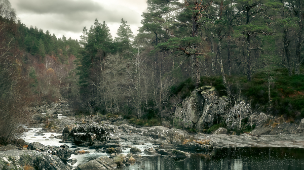 Highland Woods