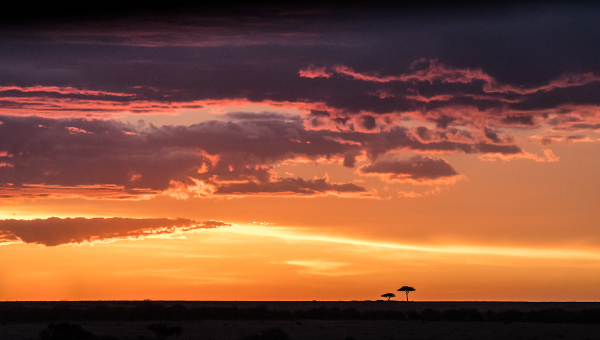 Maasai Mara Sunset