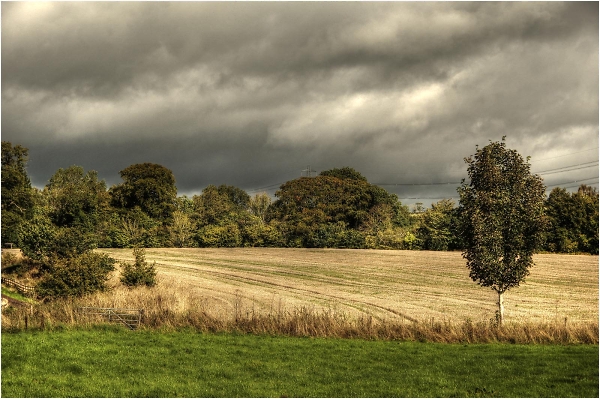 Storm Light