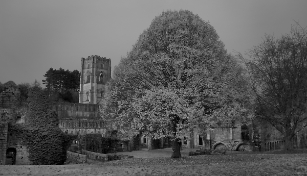 Abbey in fading light