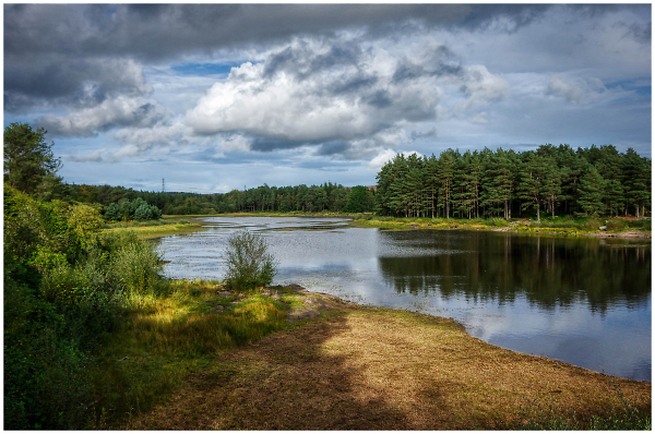 Cragside Drive