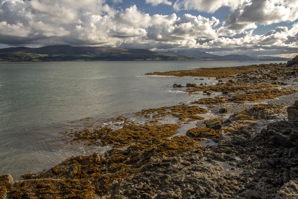 Menai Straits.