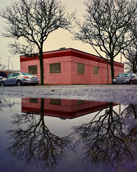 Reflection on a rain puddle
