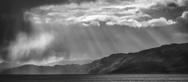Storm Brewing