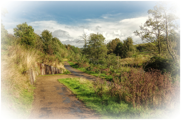 The Path to Rothbury