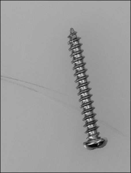 The Taming of the Screw