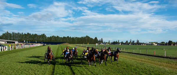 Trotting Races