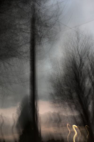 dusk dervish