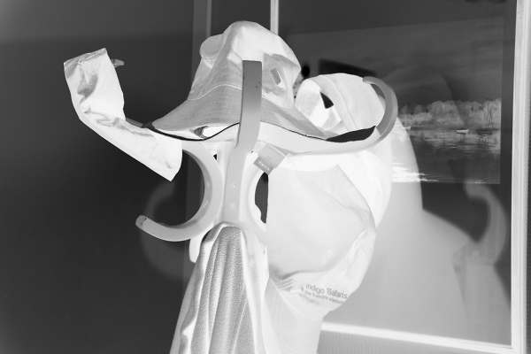Ghostwear disguised as an elephant?
