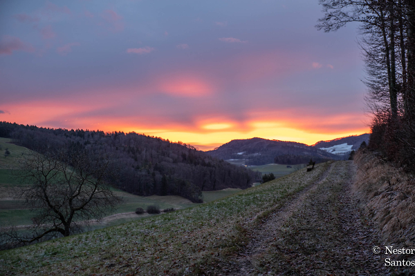 Hlstein