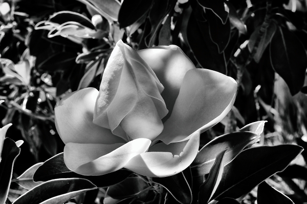 to find truth is to seek the heart