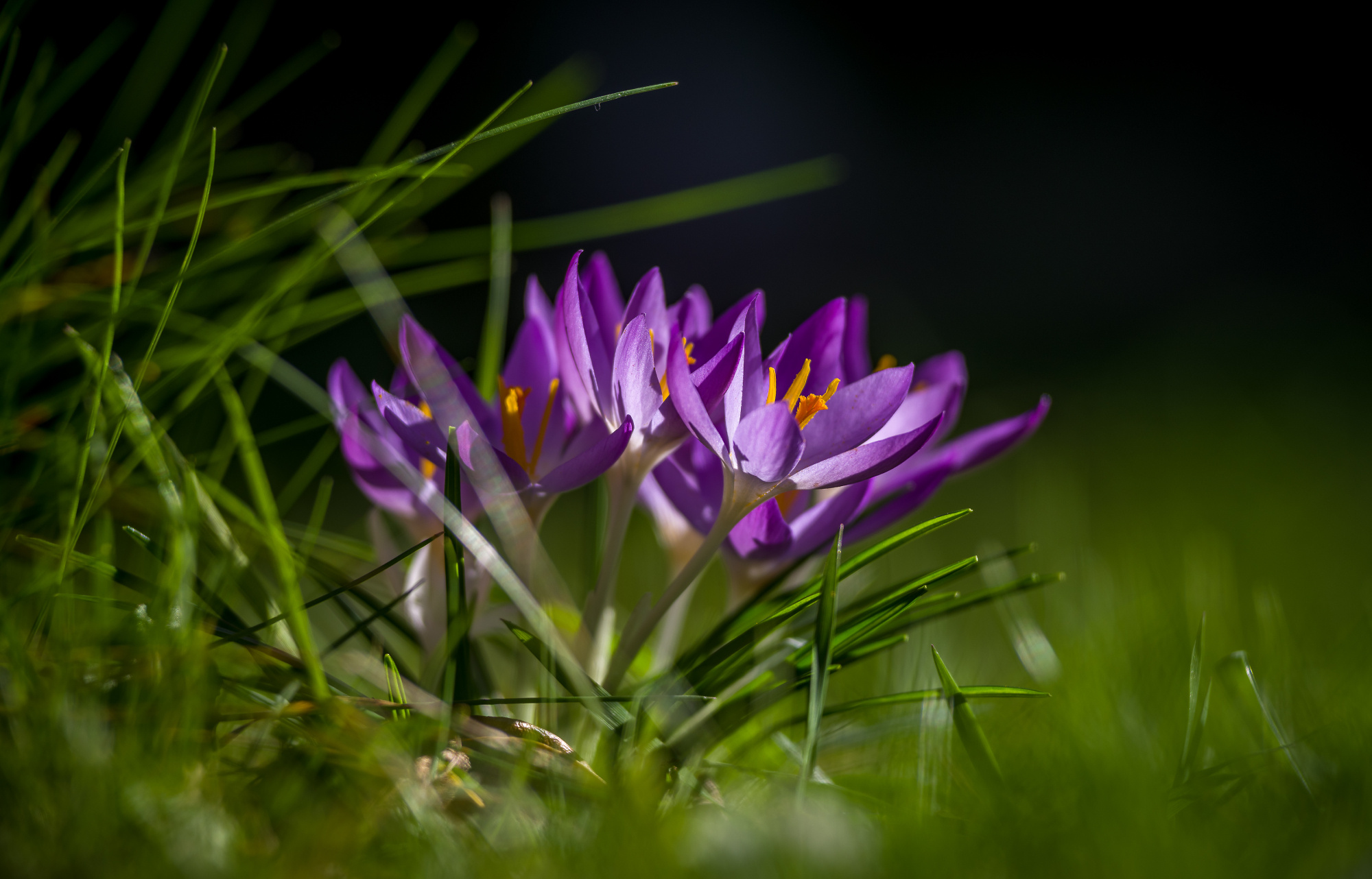 Nearly Spring!