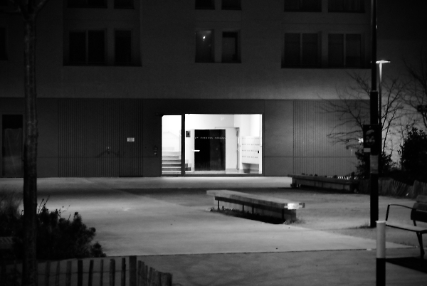 Nocturnal city life