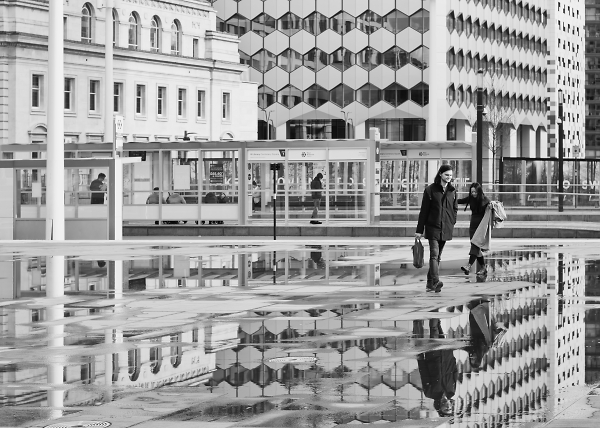 Life Reflected