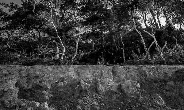 Split Level