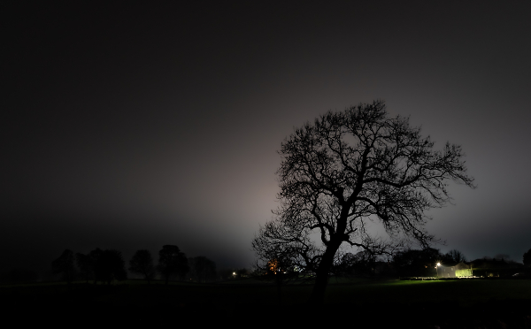 Against the on coming fog