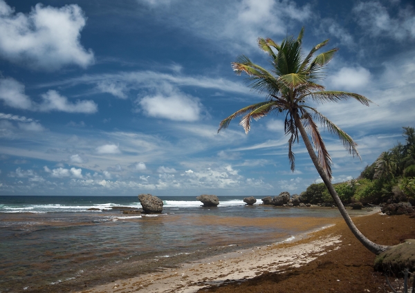 Bathsheba Beach, Barbados