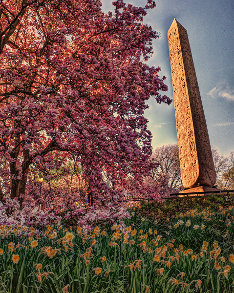 Springtime in Central Park NYC