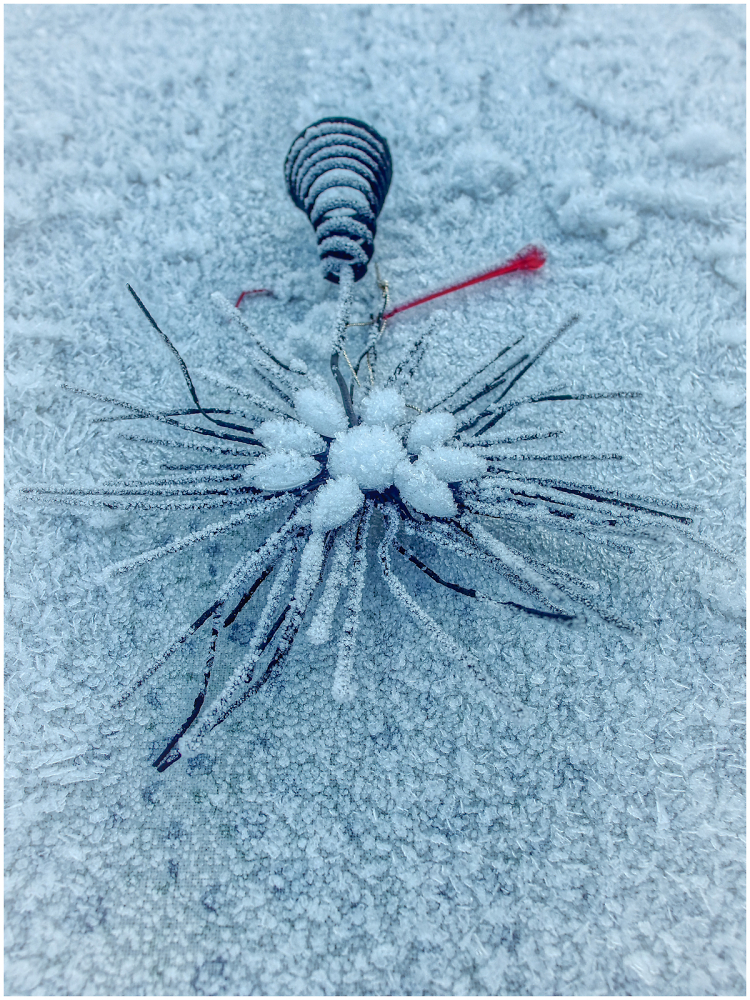 Frozen Water?