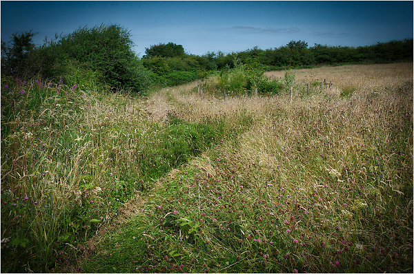 Find the Path