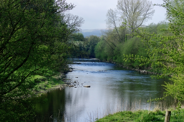 Spring has Sprung on the Ribble