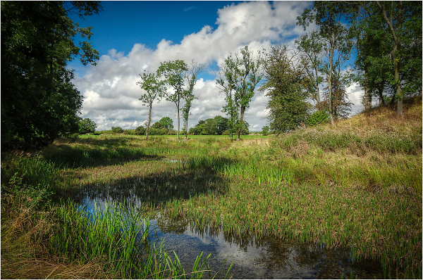 Water Trees & Sky