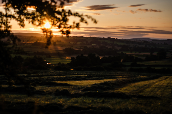 Away across the valley