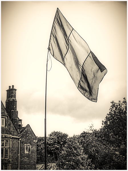 Flag Against the Light