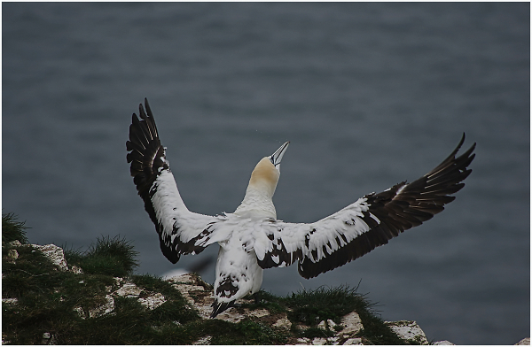 Take Flight