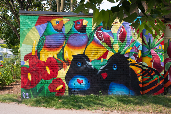 For the Love of Colour