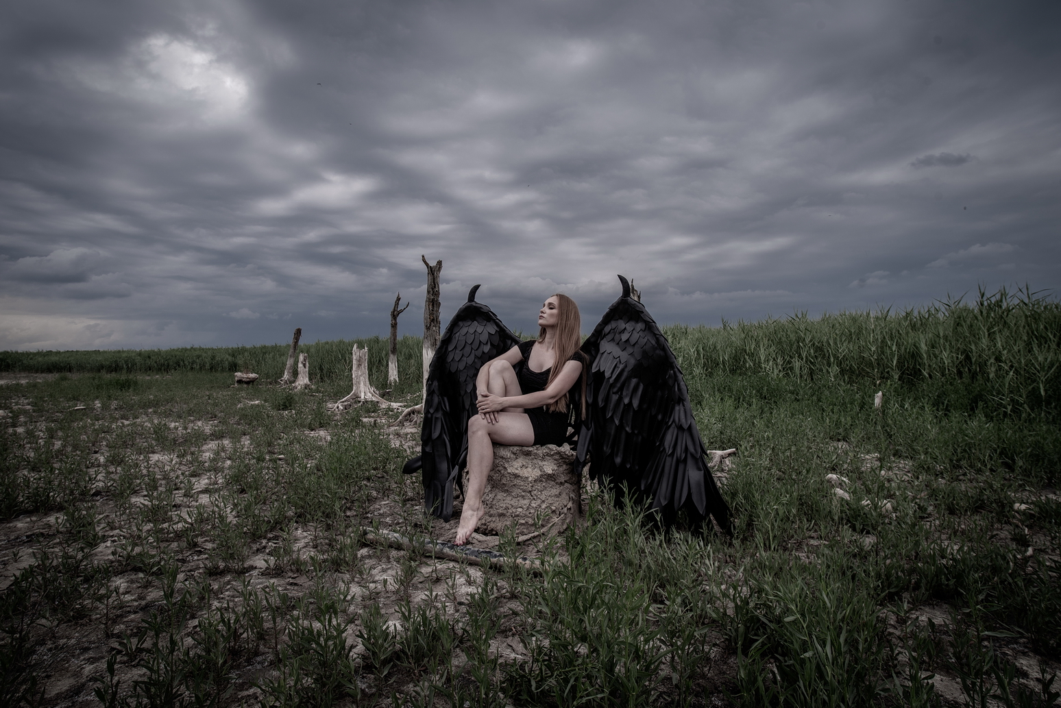 DARK ANGEL