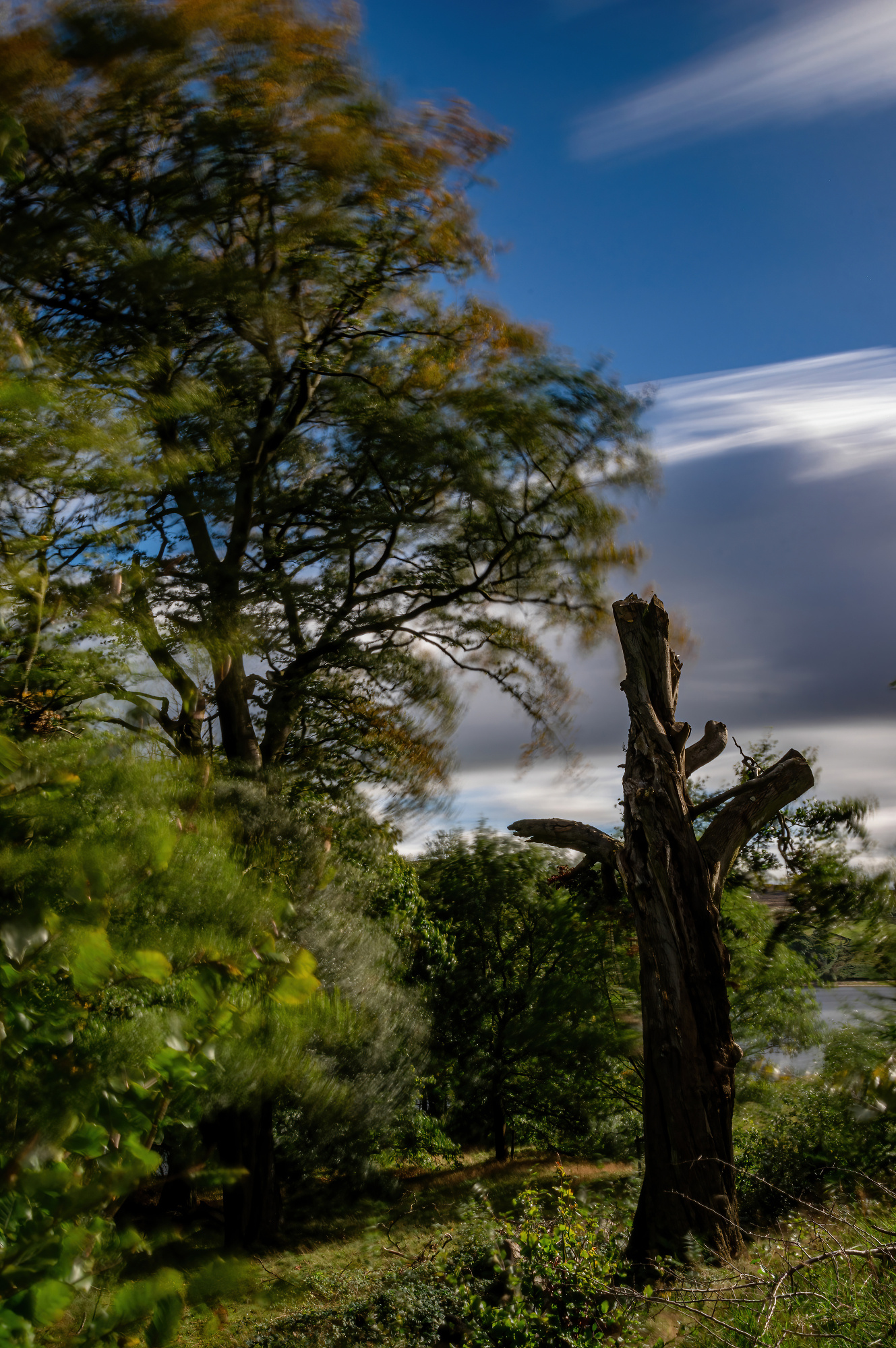 Withstanding the WInd