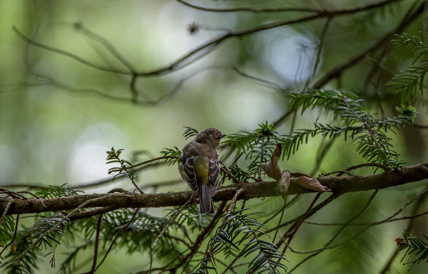 A moment of rest