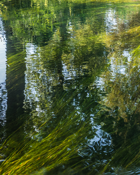 A Paddle on the River