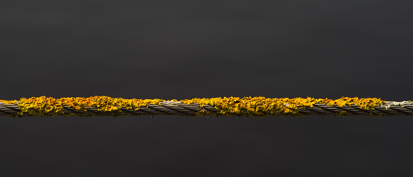 Beyond the wire