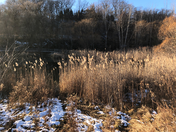Brickworks Park, Toronto