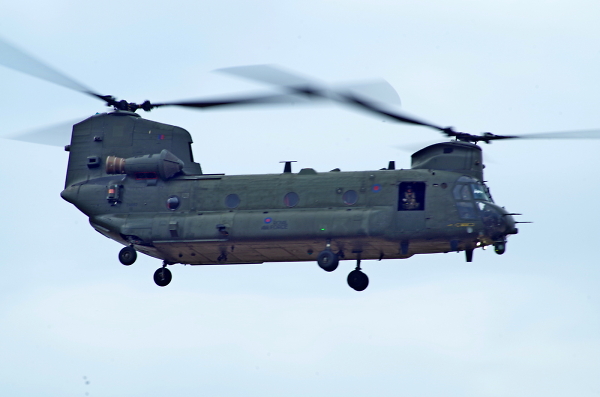 Chinook