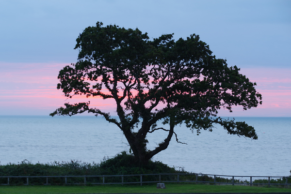 Early Morning - pre sunrise