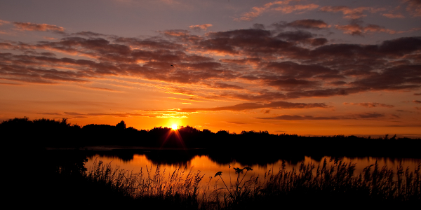Sunset at the reserve