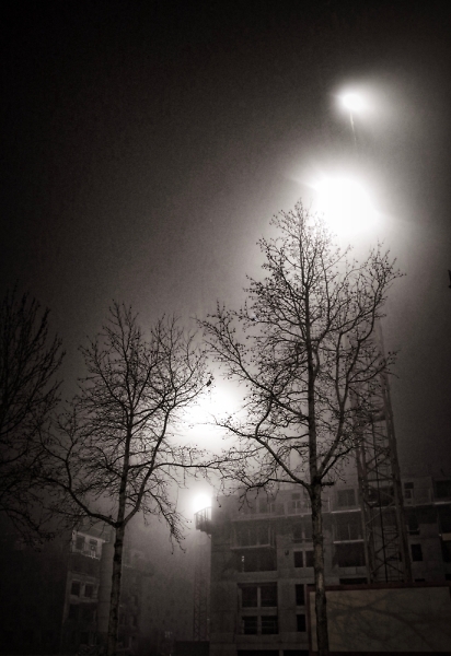 Night of their arrival