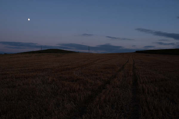 SOMMER NIGHT