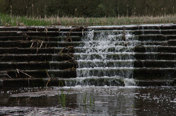 Water Steps