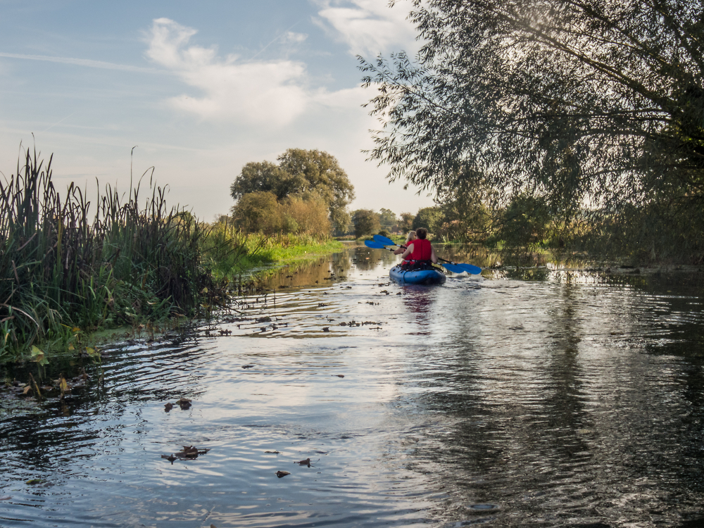 Out Paddling