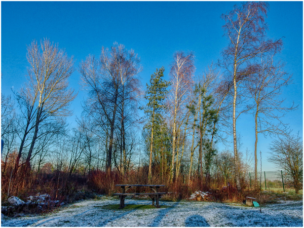 Blue Skye\'s and Frost