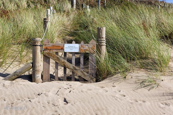 Gate to the beach.