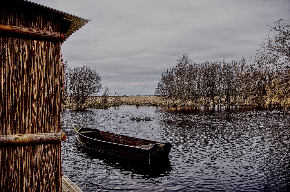 Wetland