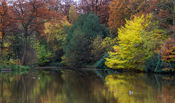 A last look of Autumn