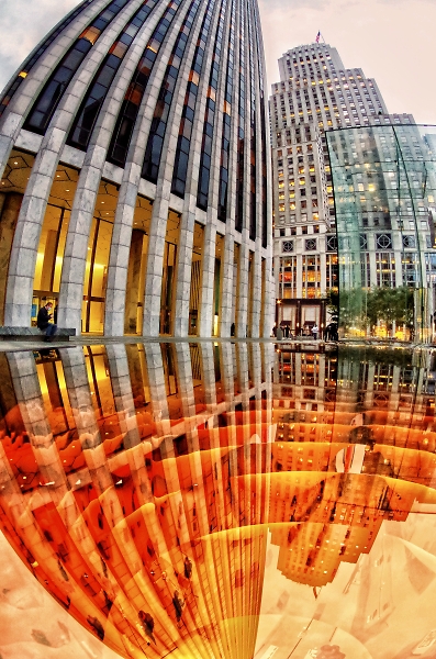 Fisheye perspective in NYC