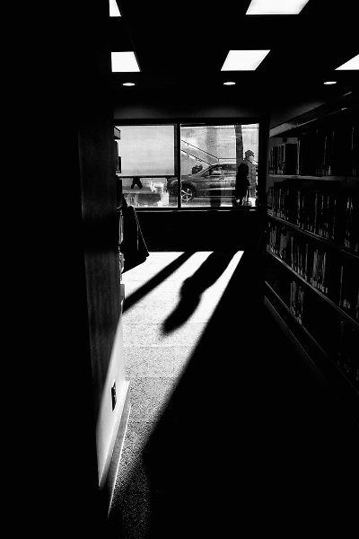 Late afternoon sunlight from inside a library
